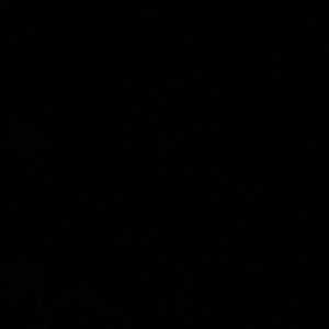 Meet your Posher, Last